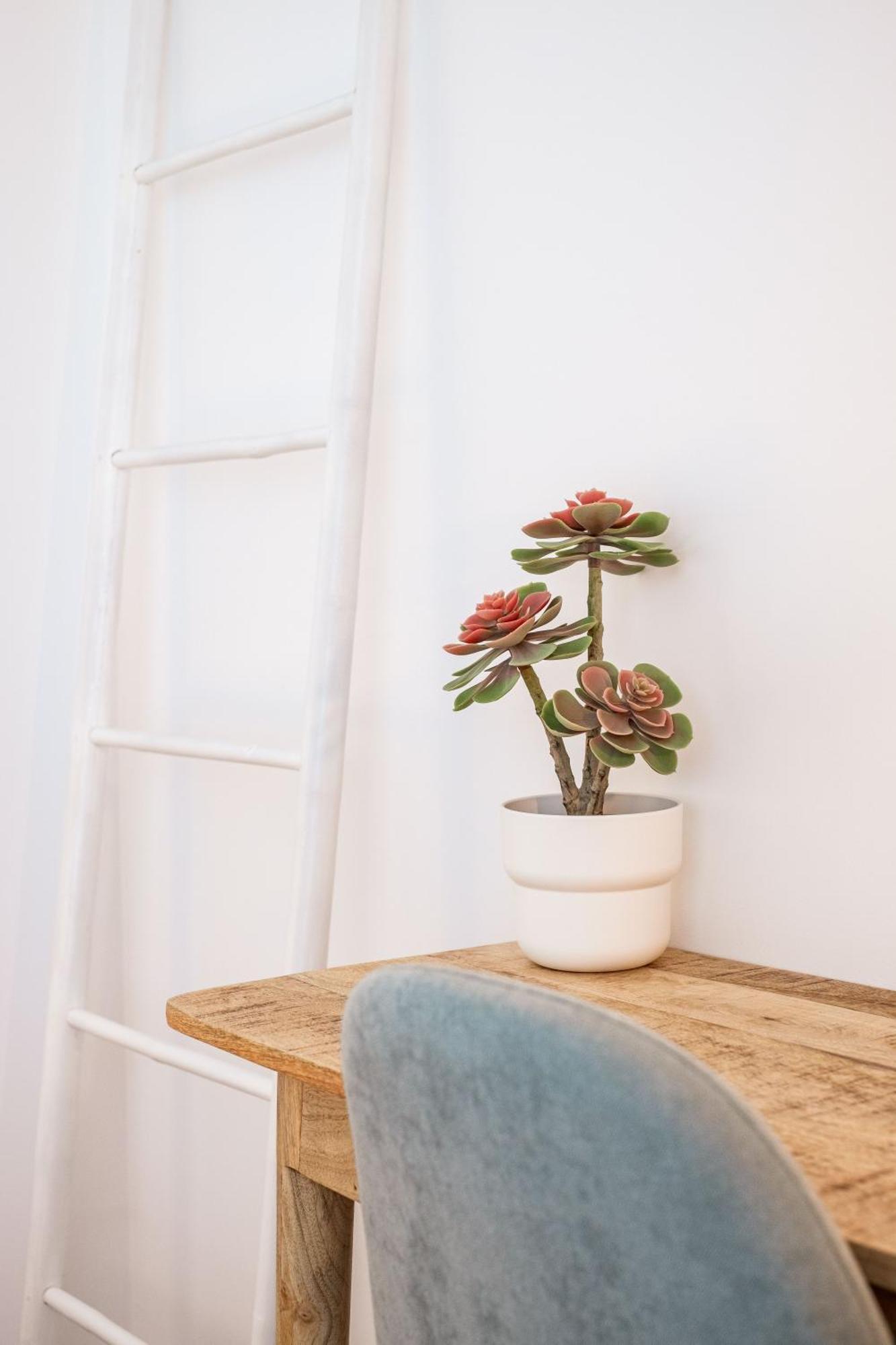 Casa Vica - Sagres Design Apartments ห้อง รูปภาพ